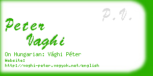peter vaghi business card