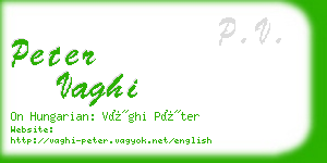 peter vaghi business card